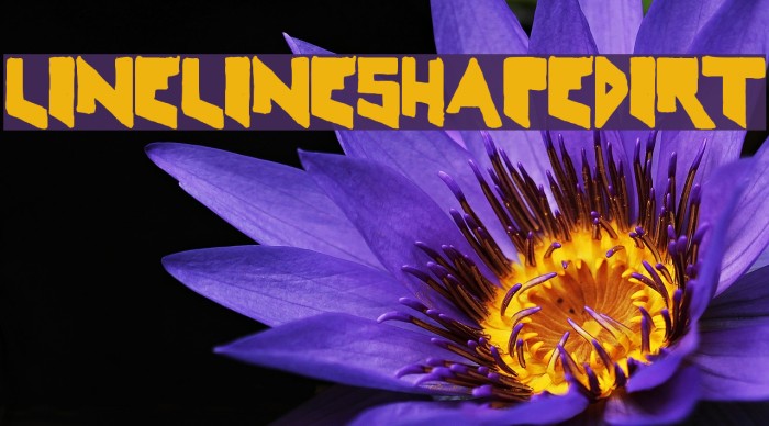LineLineShapeDirty Font examples
