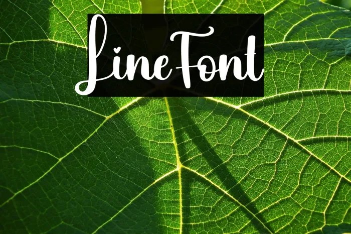 Line Example 3