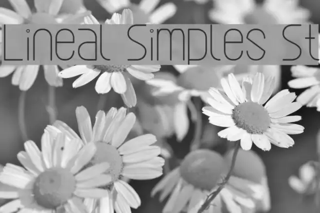 Lineal Simples St Example 2