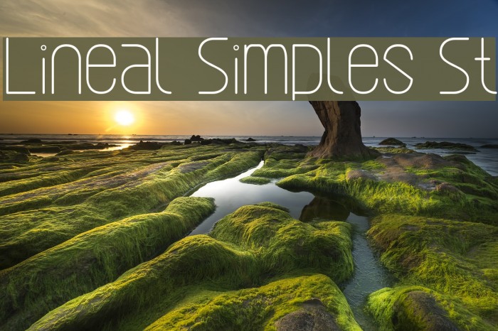 Lineal Simples St Font examples