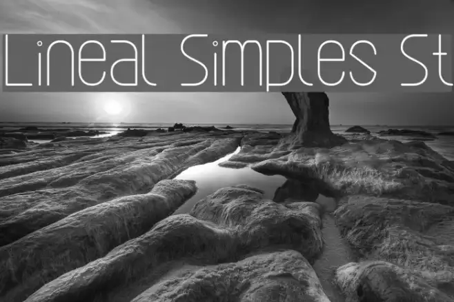 Lineal Simples St Example 3