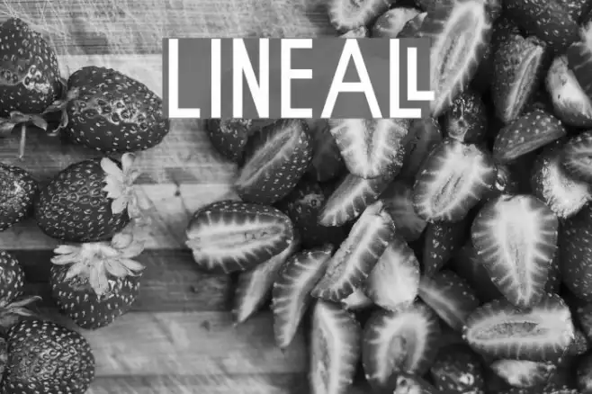 Lineal Example 1