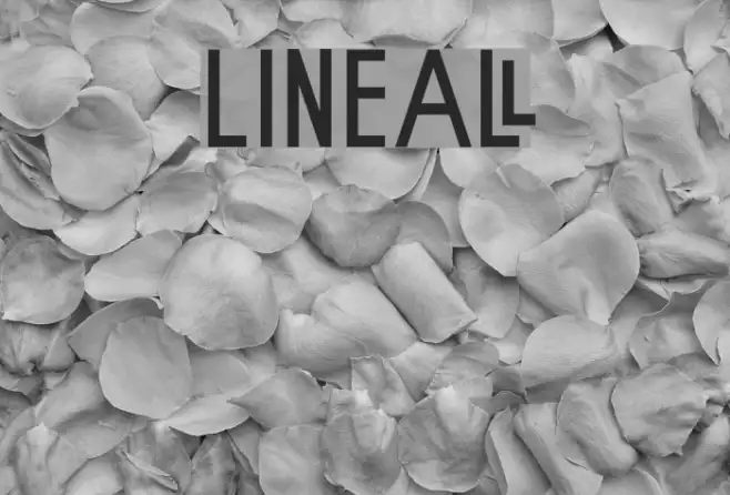 Lineal Example 2