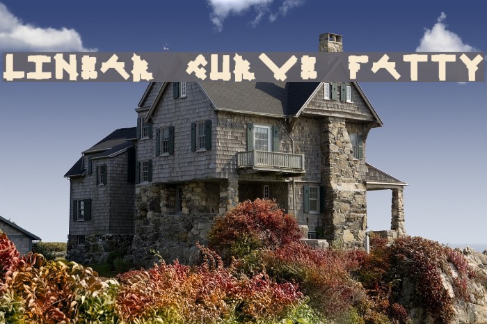 Linear Curve Fatty Font examples