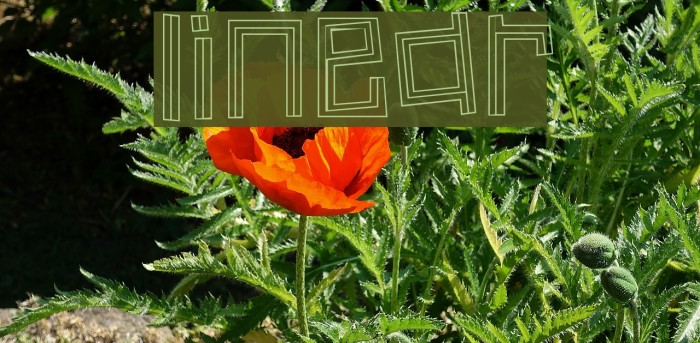 Linear Font examples