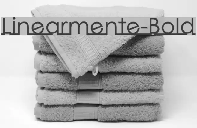 Linearmente-Bold Font examples