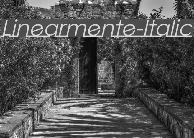 Linearmente-Italic Fuentes examples