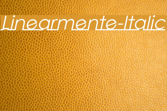 Linearmente-Italic Font examples