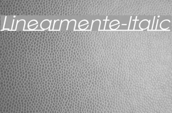 Linearmente-Italic Fuentes examples