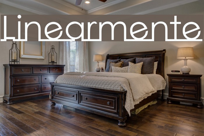 Linearmente Font examples