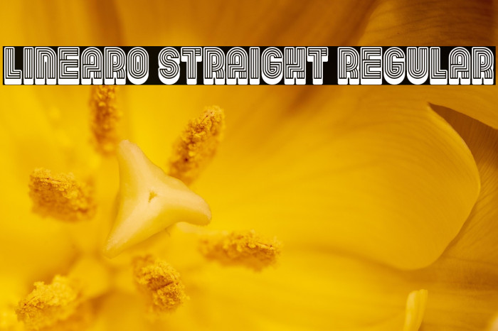 Linearo Straight Regular Example 2