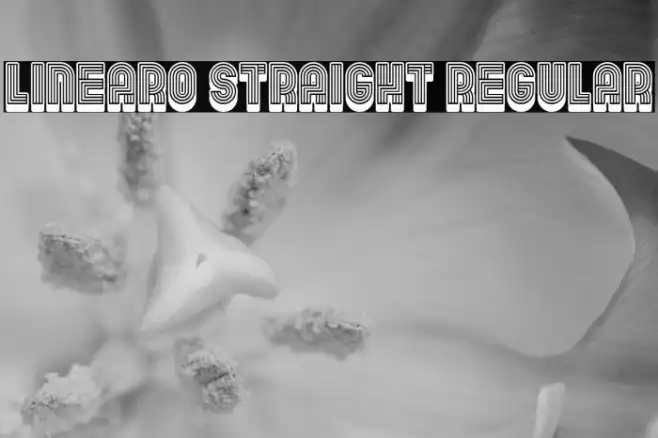 Linearo Straight Regular Example 2