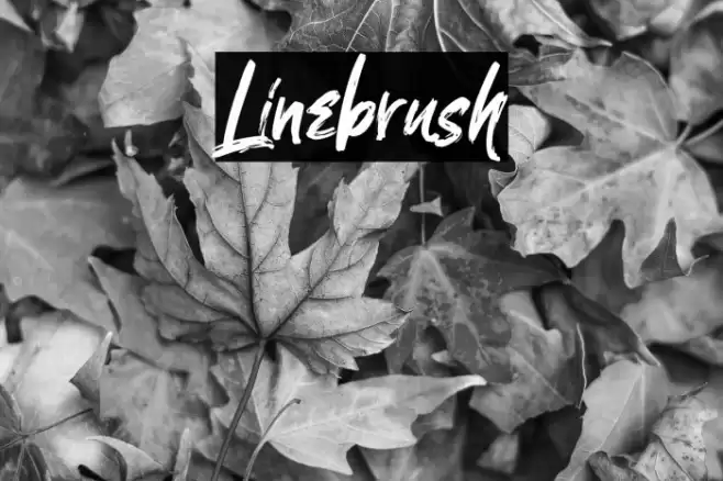 Linebrush Font examples