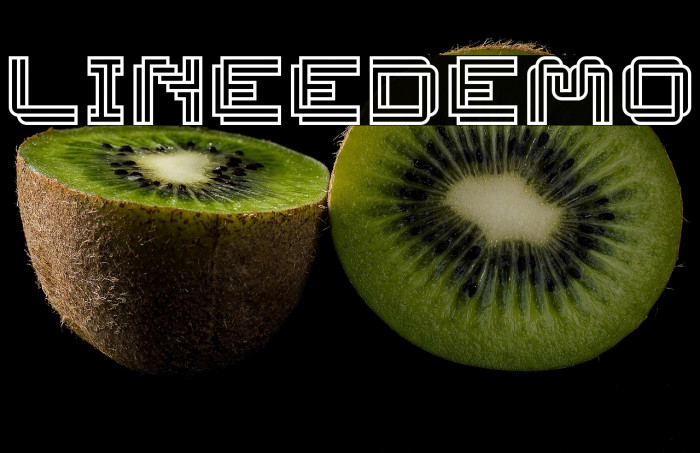 Linee-DEMO Example 3