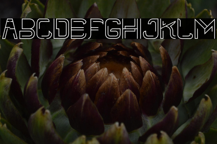 Linees Three Example 3