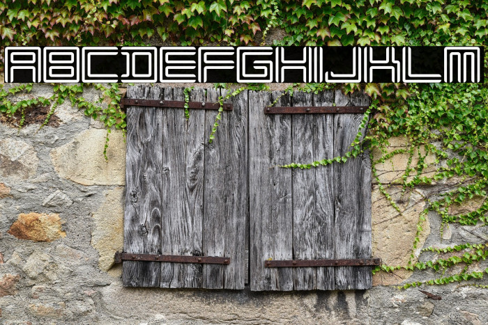 Liner Regular Example 1