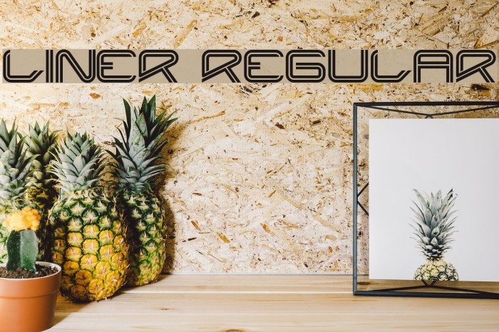 Liner Regular Font examples