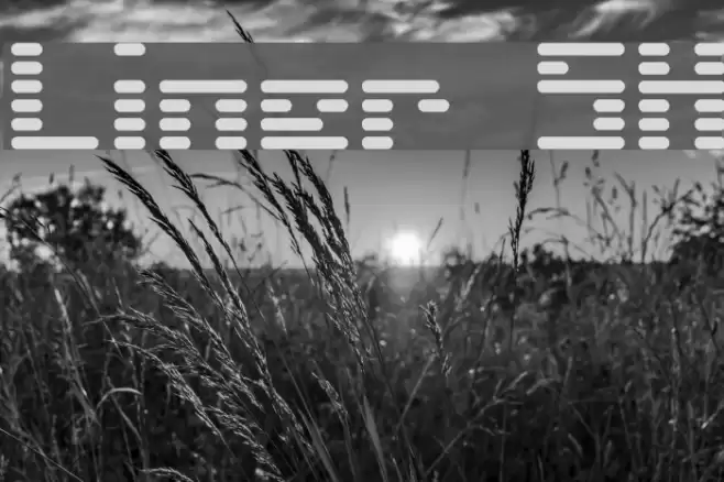 Liner SH Font examples