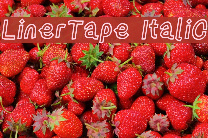 LinerTape Italic Font examples