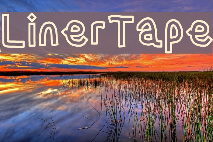 LinerTape Font examples