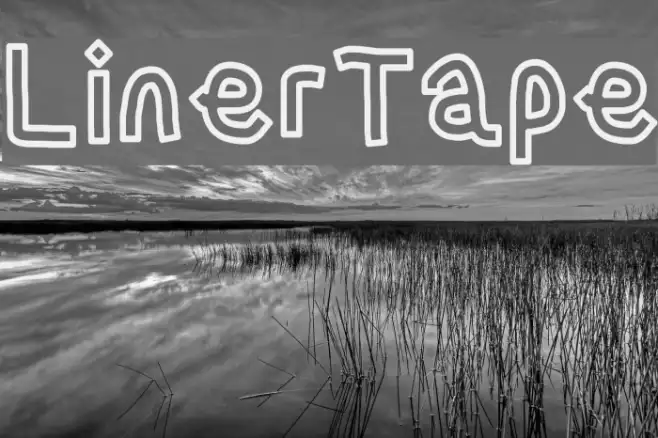 LinerTape Example 1