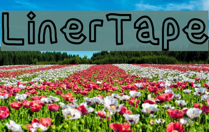 LinerTape Font examples