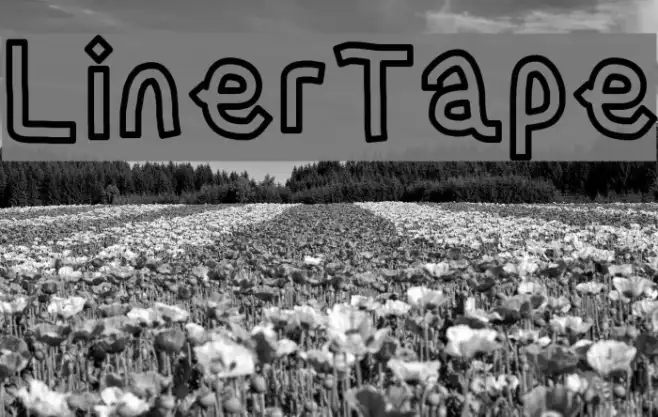LinerTape Example 3