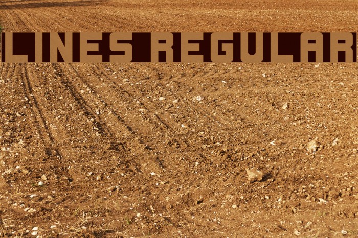Lines Regular Font examples