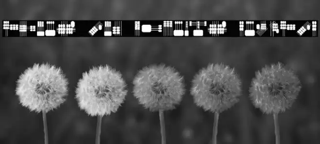 Lines and Objects Regular Caratteri examples