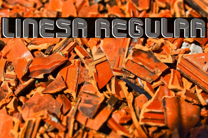 Linesa Regular Example 1