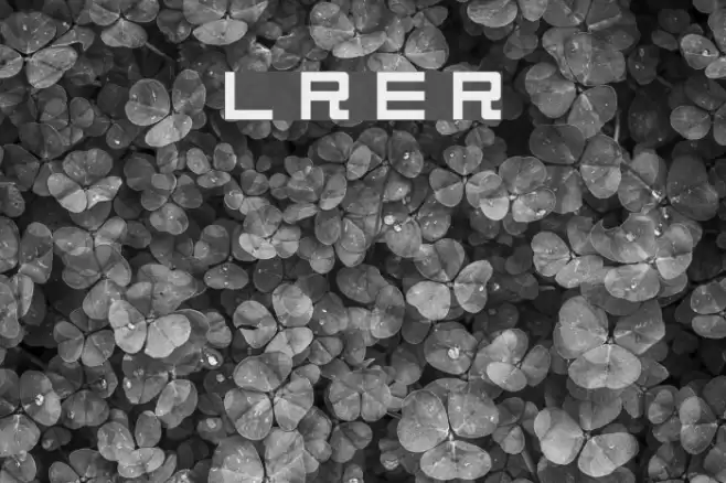 Linesquare Rounded Extended Regular Font examples