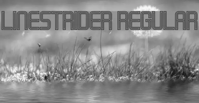 Linestrider Regular Example 2