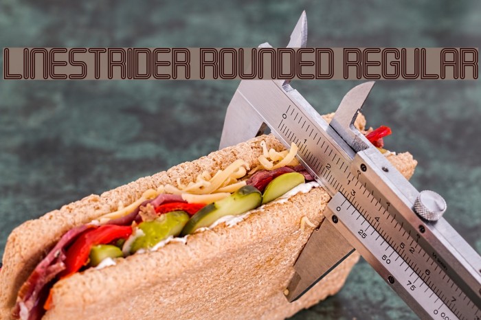 Linestrider Rounded Regular Font examples