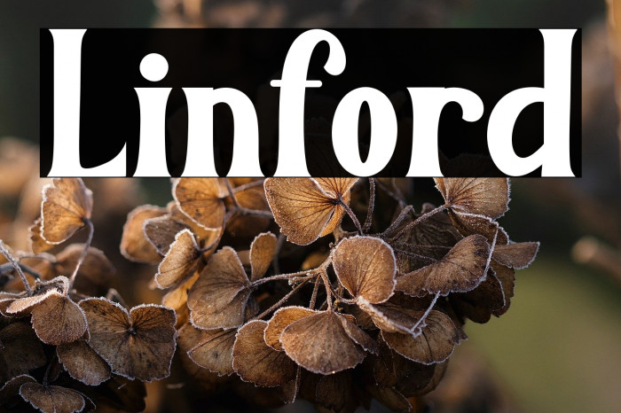 Linford Example 2