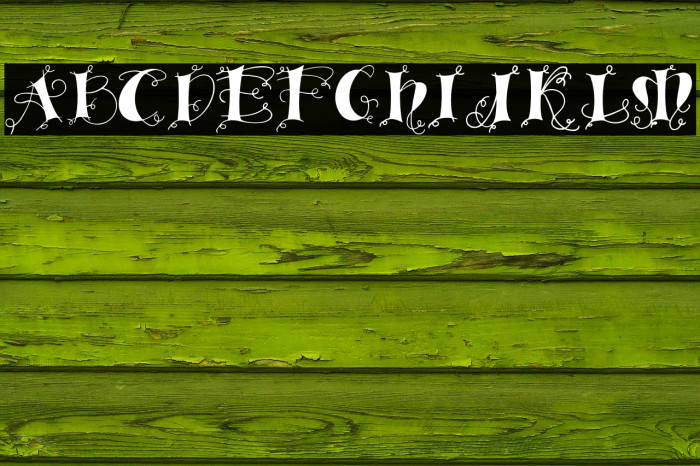 Lingerdemo Font examples