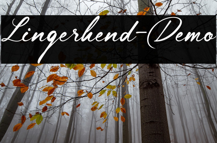 Lingerhend-Demo Example 1