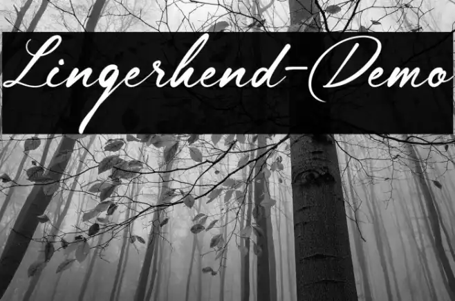 Lingerhend-Demo Example 1