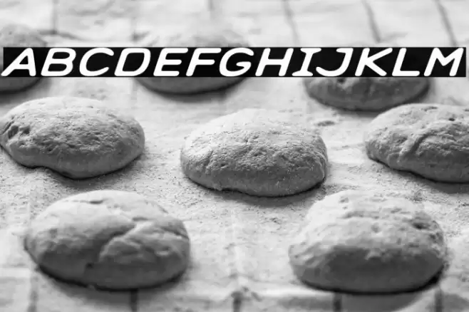 Lingnerallee 12345 Font examples