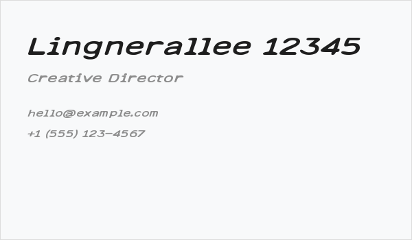 Lingnerallee 12345 Business Card