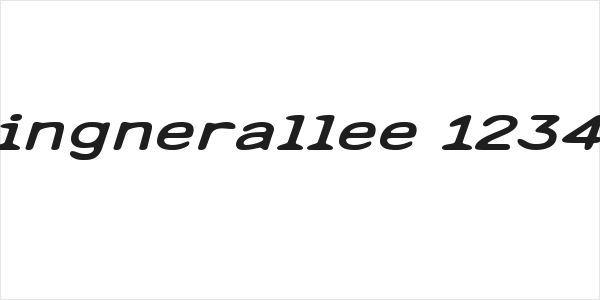 Lingnerallee 12345 Logo