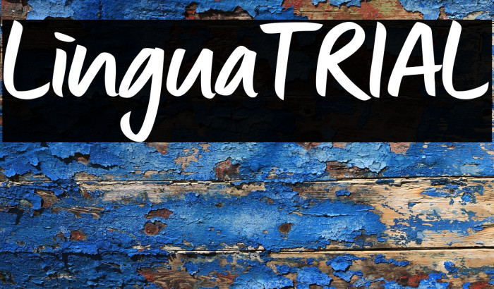 Lingua_TRIAL Example 1