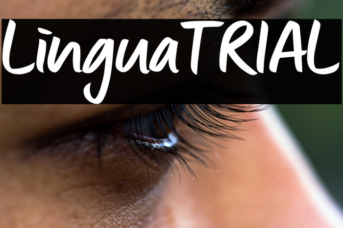 Lingua_TRIAL Example 3