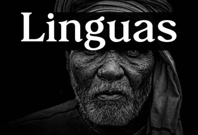 Linguas Example 1