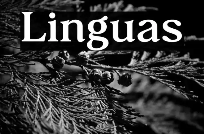 Linguas Example 2