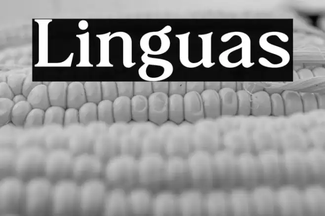 Linguas Example 3
