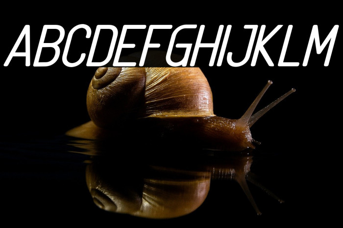 Linguineve Regular Italic Example 2