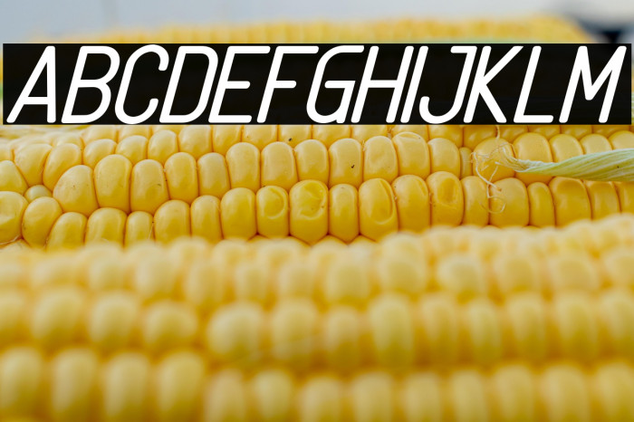 Linguineve Regular Italic Example 3