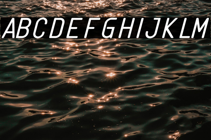 Linguineve Regular Italic Example 1