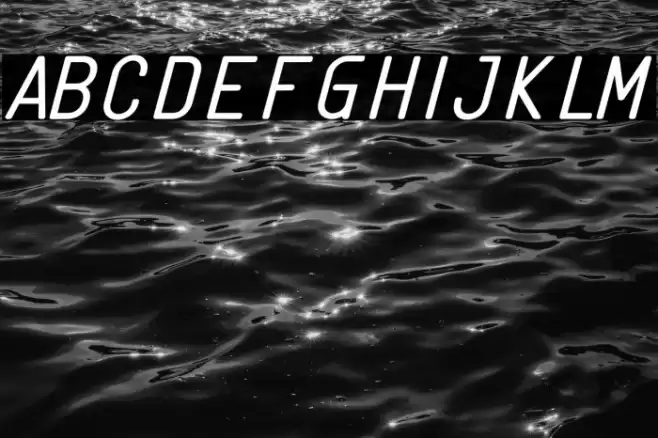 Linguineve Regular Italic Font examples