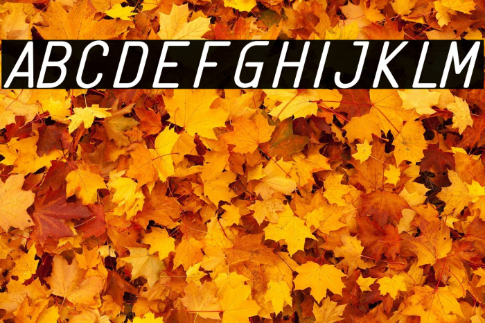 Linguineve Regular Italic Example 2